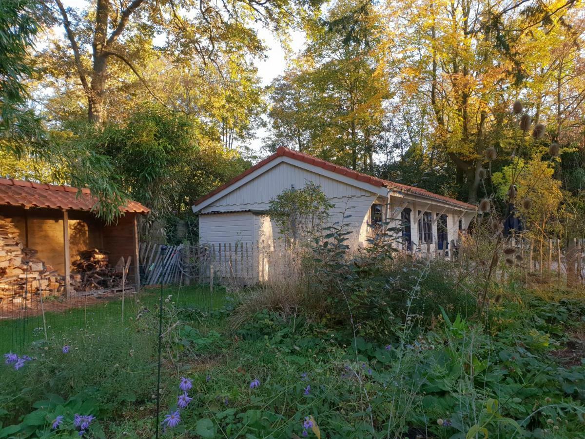 L'Amour Pur Schoorl Exteriér fotografie