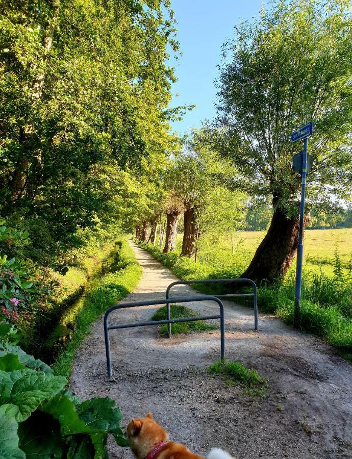 L'Amour Pur Schoorl Exteriér fotografie